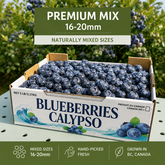 5 lb paper box of hand-picked blueberries, mixed sizes 16–20 mm